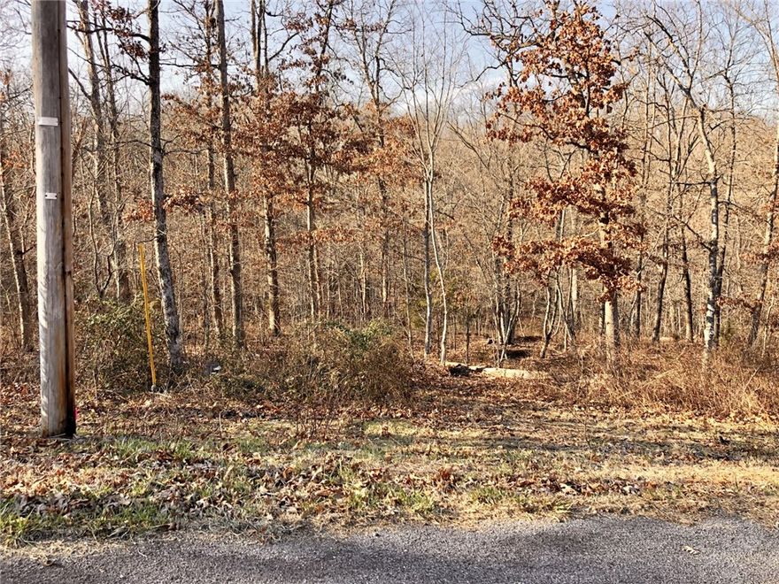 COMPLETED PERC TEST!! Come check out this unique lot on Monmouth Drive!! Ever so gently sloping - so little, that you could almost call it- a "flat" lot. Perfect for your dream home, investment property or just one to hang on to. Even better - the soil test has already been completed, saving you time and money! Enjoy peaceful surroundings with common property directly behind the lot, offering added privacy and a natural backdrop. Conveniently located near miles of scenic trails, Lake Brittany, Dogwood and Brittany golf courses, and much more!