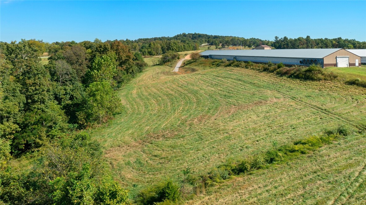 Eggs for Days - Farm