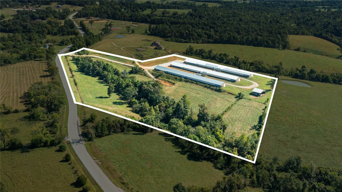 Eggs for Days - Farm