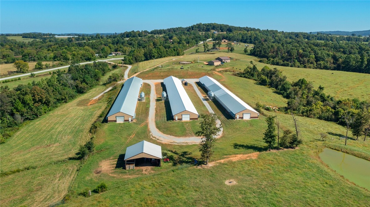 Eggs for Days - Farm