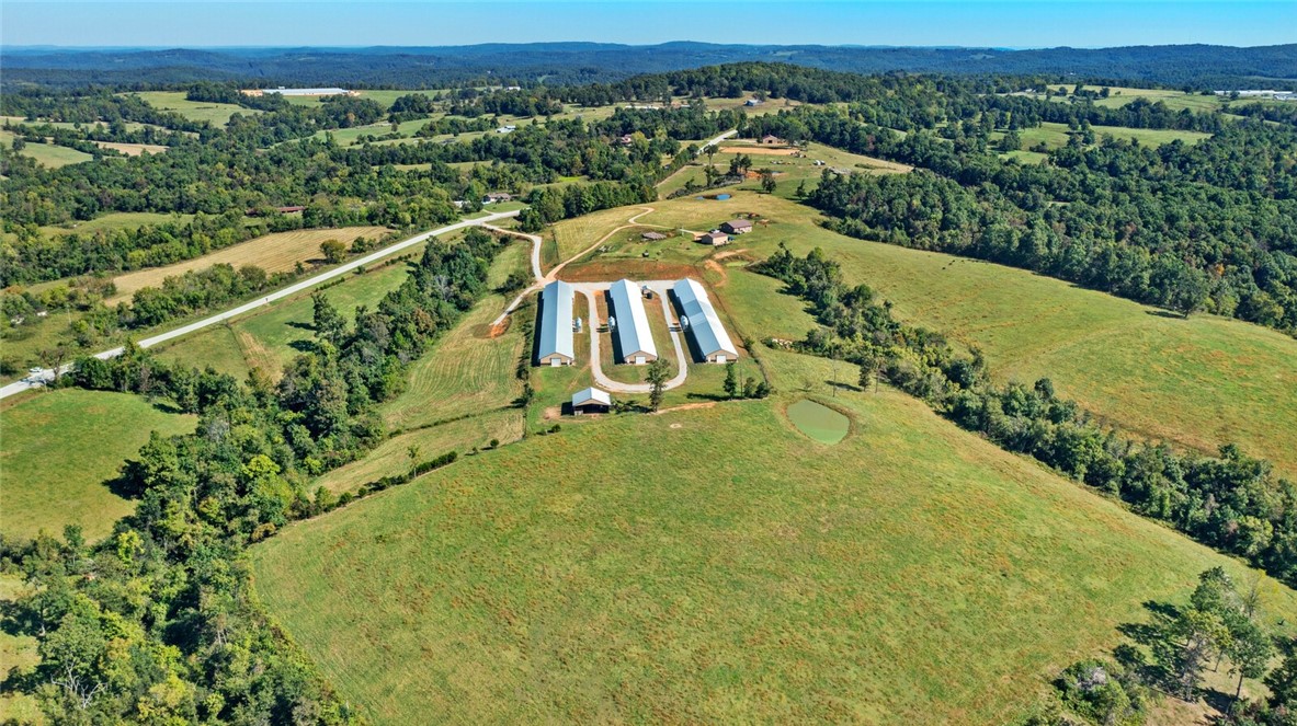 Eggs for Days - Farm