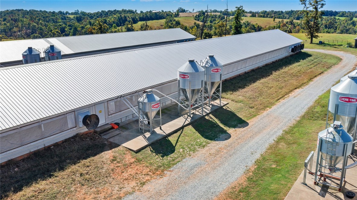 Eggs for Days - Farm