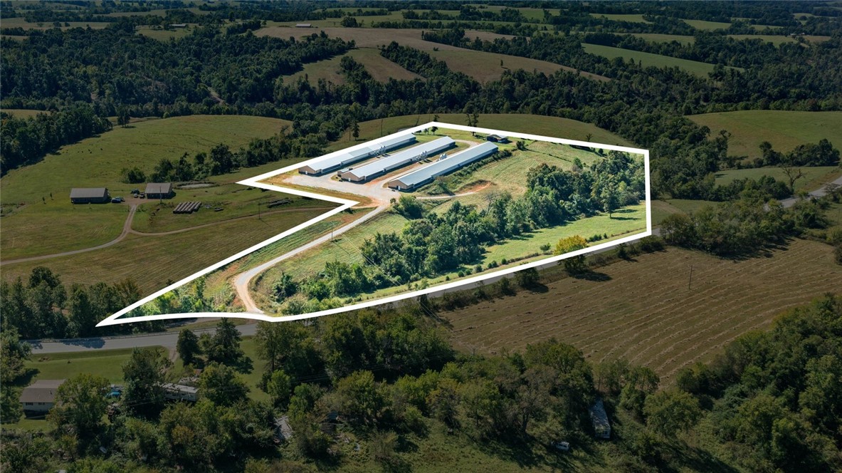 Eggs for Days - Farm