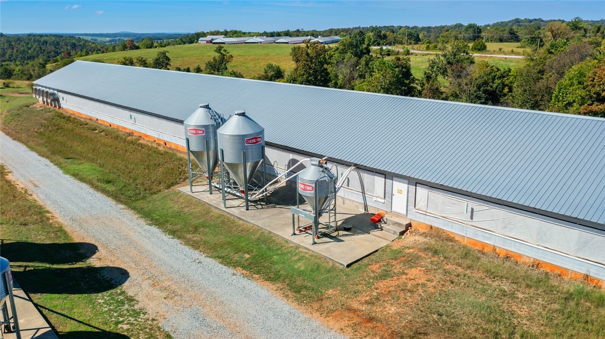 Eggs for Days - Farm