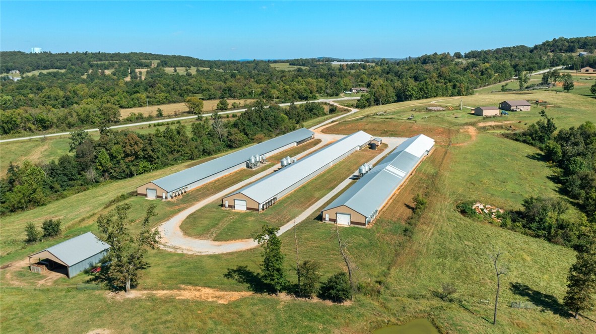 Eggs for Days - Farm