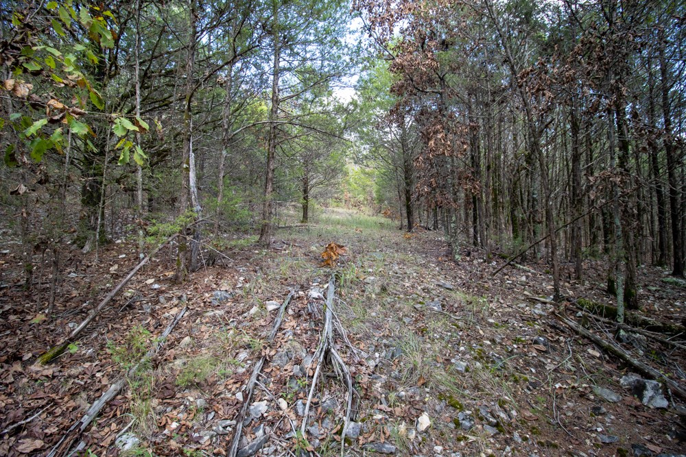 Discover +/- 40 acres of hardwood timber, cedar glades, and striking rock outcroppings just above the scenic Spring River Valley. This property offers diverse terrain with rolling ridges, hollows, and open pockets that create excellent habitat for deer, turkey, and small game. Cedar glades provide habitat diversity while rock outcroppings add rugged beauty and character throughout.
With county road frontage and utilities available, this tract is both accessible and ready for your vision. Located halfway between historic Hardy, AR, and Mammoth Spring, AR — home to the 7th largest freshwater spring in the United States — you’ll also enjoy quick access to world-class trout and smallmouth bass fishing on the Spring River.
Whether you’re looking for a hunting retreat, a recreational getaway, or a long-term investment, this property offers endless potential in the heart of the Ozarks.