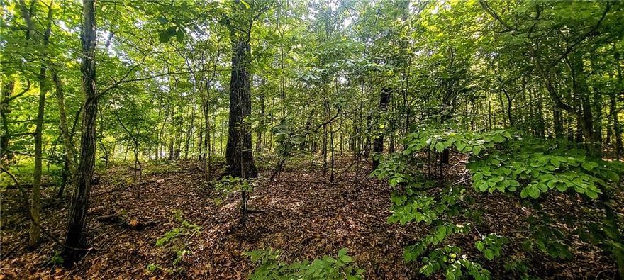 now available in a peaceful, scenic area of Bella Vista! Located just 5 minutes from Branchwood Recreation Center, 7 minutes to Highlands Golf & Pub, 8 minutes to I-49, and 10 minutes to Loch Lomond Public Boat Launch. Several new homes have been built nearby, and the views are gorgeous. The seller is including a completed perc test, property survey, and house plans with the salemaking this an ideal opportunity for a ready-to-go build. Enjoy all the benefits and amenities Bella Vista has to offer in a growing, highly desirable location