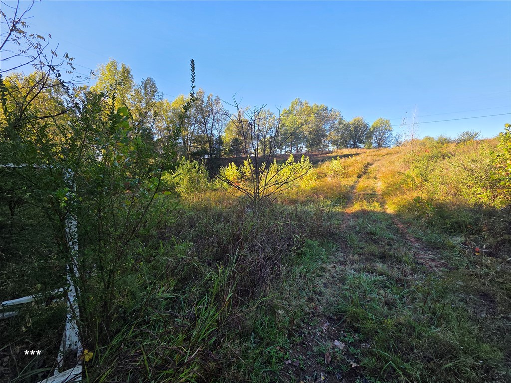 Springdale Outlots - Commercial Sale