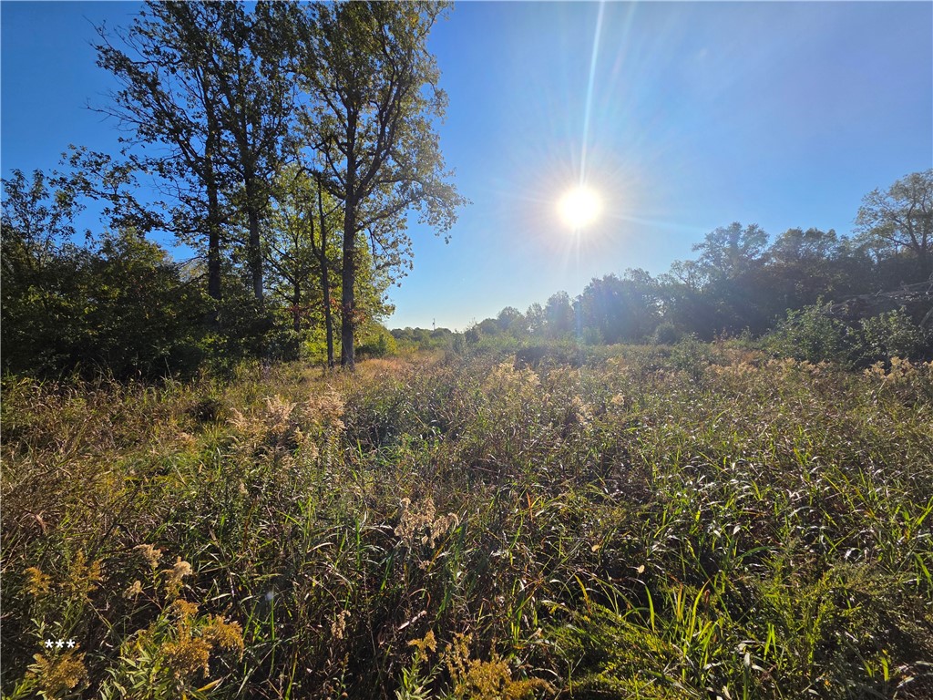 Springdale Outlots - Commercial Sale