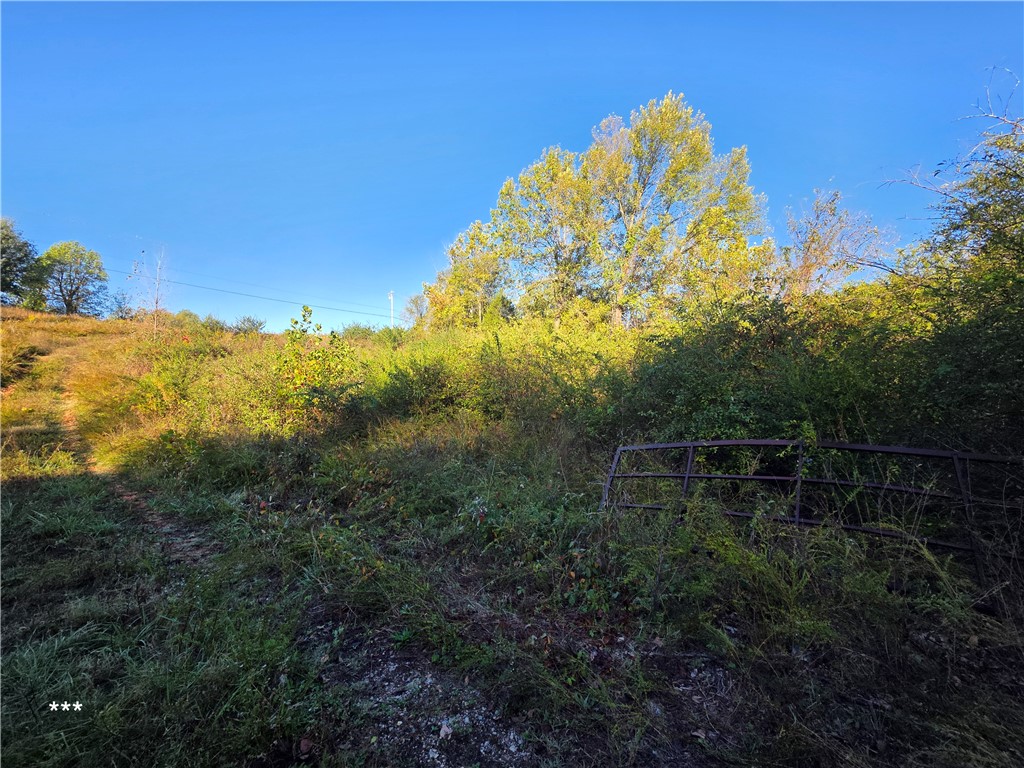 Springdale Outlots - Commercial Sale