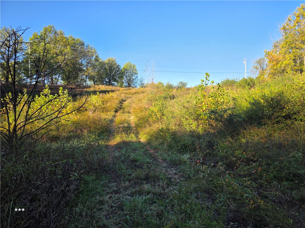 Springdale Outlots - Commercial Sale