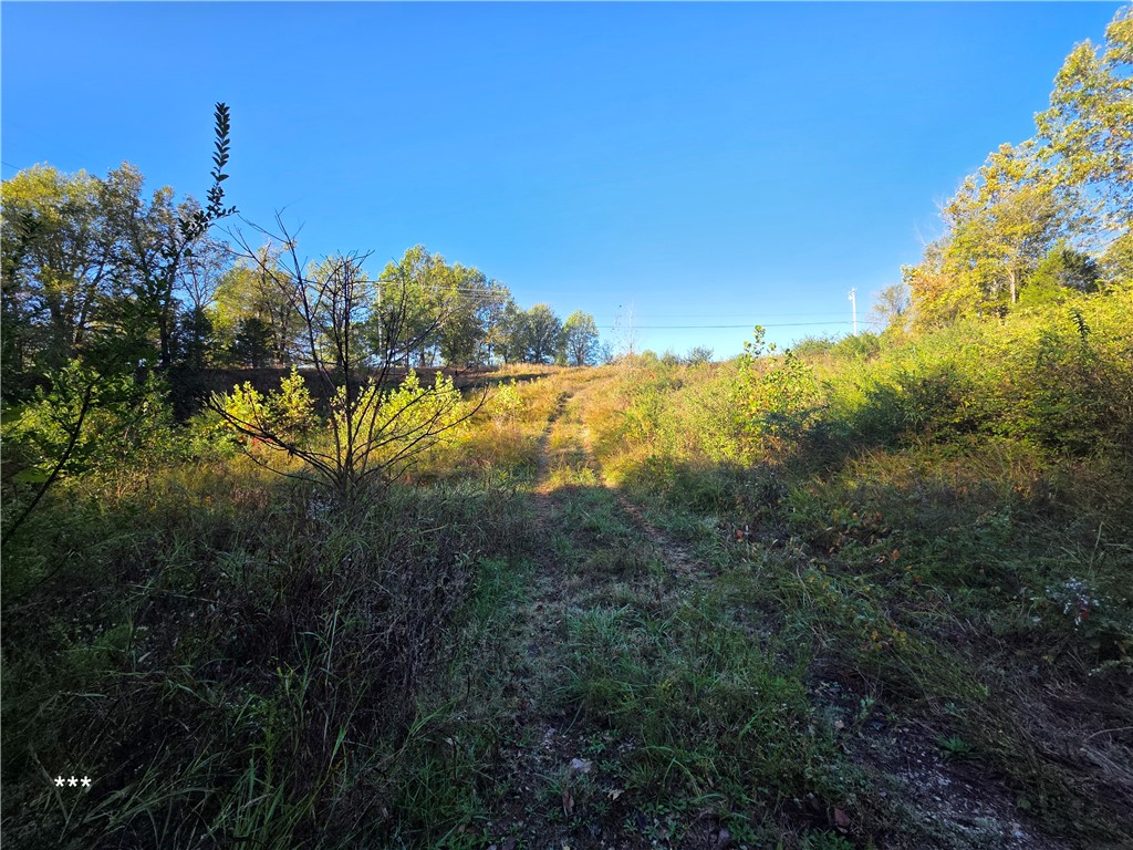 Springdale Outlots - Commercial Sale