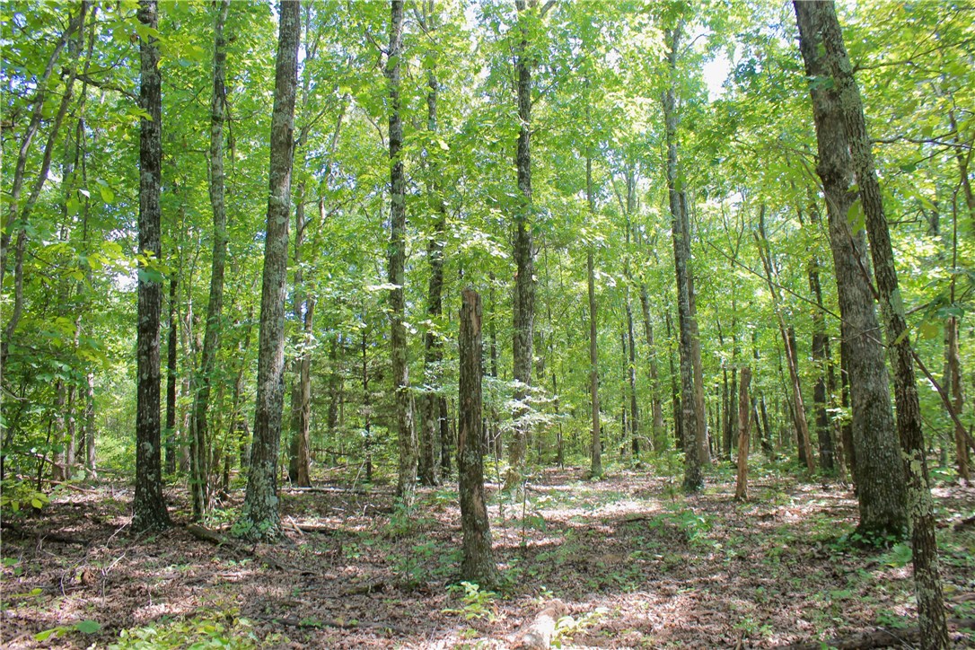 Great hunting property with a view