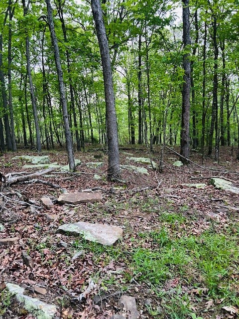 Crosses, AR - Land