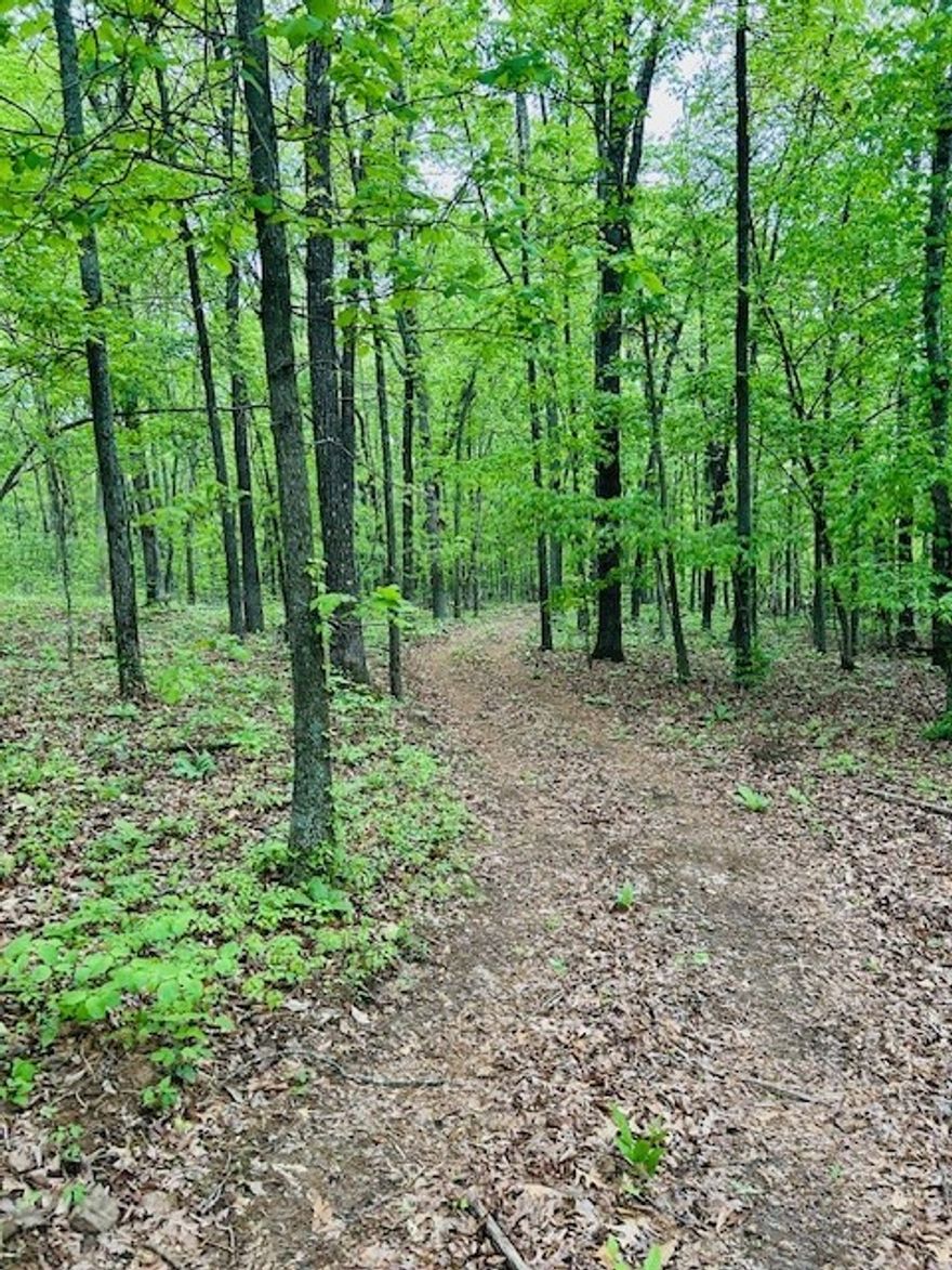 This 13+/- acres is the perfect spot to build your next home, Air BnB, or personal retreat in the Ozark National Forest area! The terrain slopes gently and has multiple, buildable sites. Convenient location just 30 mins. to Fayetteville. The property is on a quiet well-maintained county road. Located less than a mile to the White River. Minutes from Mill Creek and Mulberry OHV trails, and White Rock Mountain Recreation Area. The property is wooded with native rock landscape. Wildlife galore including deer, turkey, and bear. Property has Madison CR 5450 frontage. See MLS 1273531, adjoining acreage.