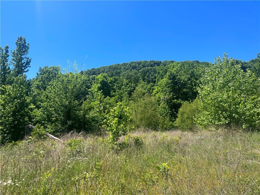 The property features a building site with lots of hardwood trees, rock bluff view, NO restrictions, and has 12.12 Acres M/L. Call today to schedule a showing.