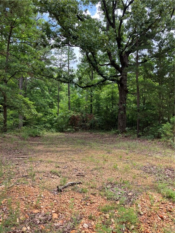 4 acres m/l all wooded with county road frontage on 2 sides. No restrictions. Wildlife is abundant. Nice parcel to build your dream home or cabin. Short distance to Kings River access for floating.