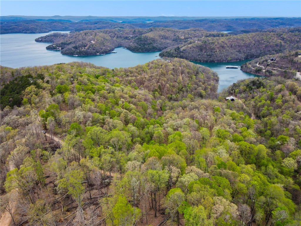 Looking for rural, secluded lake area living? These 9.92 acres offer just that! Large hardwood trees, mountain views, and wild life await. Escape to this serene location with just the peace and quiet your soul desires. The acreage is comprised of three individual tracts with multiple build sites and drives also cut in. Situate your dream home or quaint cabin in the woods to embrace the natural surroundings. Well and septic needed. Underground electric at the road. The adjacent three tracts are also listed as MLS #1305068 along with the full 20+ acres as MLS #1304412.