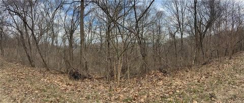 Unimproved Land in Holiday Island AR Lots 18 & 19 TBD Hawk Drive 13.jpg