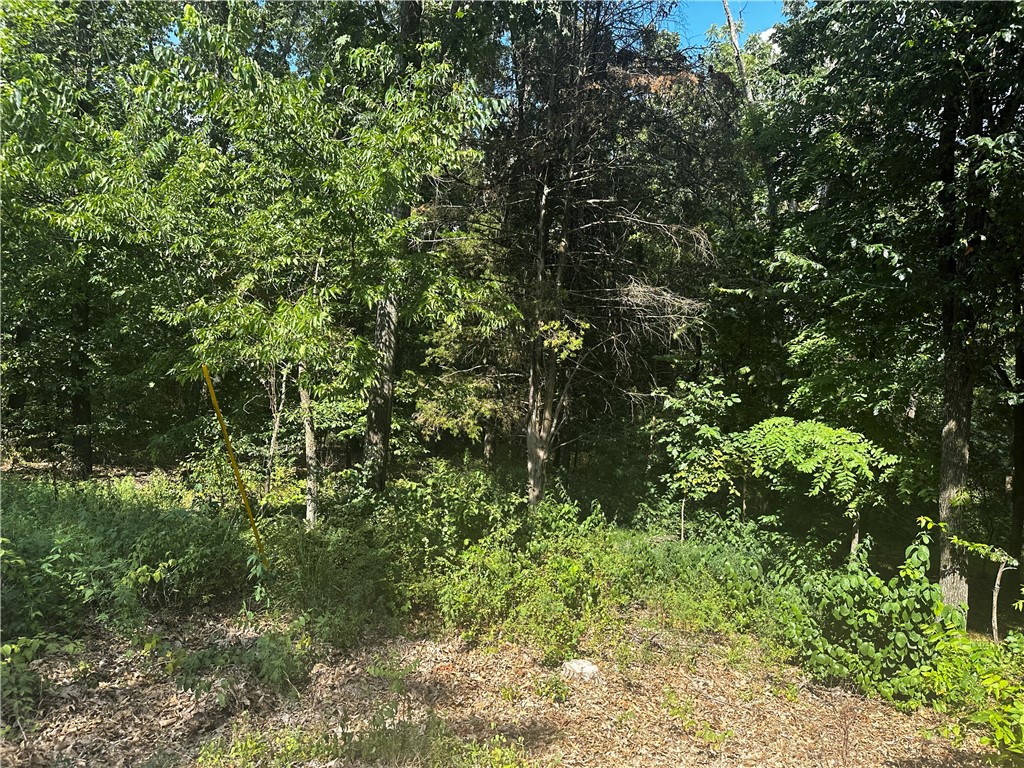 A phenomenal building lot located in the heart of Bella Vista at just over a third of acre and fairly flat. Come build your dream home, second home or an Airbnb in beautiful Bella Vista, whose name is Spanish for “beautiful view”! Bella Vista has everything you are wanting as an outdoor enthusiast with seven lakes, several streams, creeks and ponds that you can enjoy your boat, kayak, canoe or just fish with your buddies, kids or grandkids. If golf is your thing, Bella Vista has five 18 hole gorgeous golf courses, two 9 hole courses, a practice facility and a driving range. There are also gun ranges for target practice. Bella Vista is known as the Mountain Biking Capital of the World, so get your bike tuned up as there is countless trails that are both fun and relaxing as well as thrilling and challenging. If you want to be a part of Bella Vista, this lot is perfect for your family home. If you are an investor, a spec home would be a great money making opportunity as the location is superior and close to all.