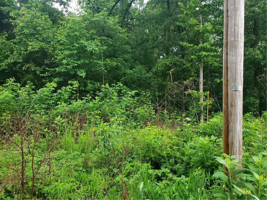 .32 Acre Lot is a gentle slope, see topography in photos. Lot is just over a quarter mile from the Branchwood Recreation Center which offers an indoor pool, hot tub, workout rooms and more. Very close to Highlands Country Club and golf course. Quick access to Interstate 49! Bella Vista's Largest Lake, Loch Lomond abounds in this area. Full sevice Marina, Lakepointe Resteraunt and Scottsdale Golf Couse. This location offers several exit routes out of the area to I 49, to Wal Mart at stateline, to 72 to Gravette or to the east side of Bella Vista. New homes in the area.