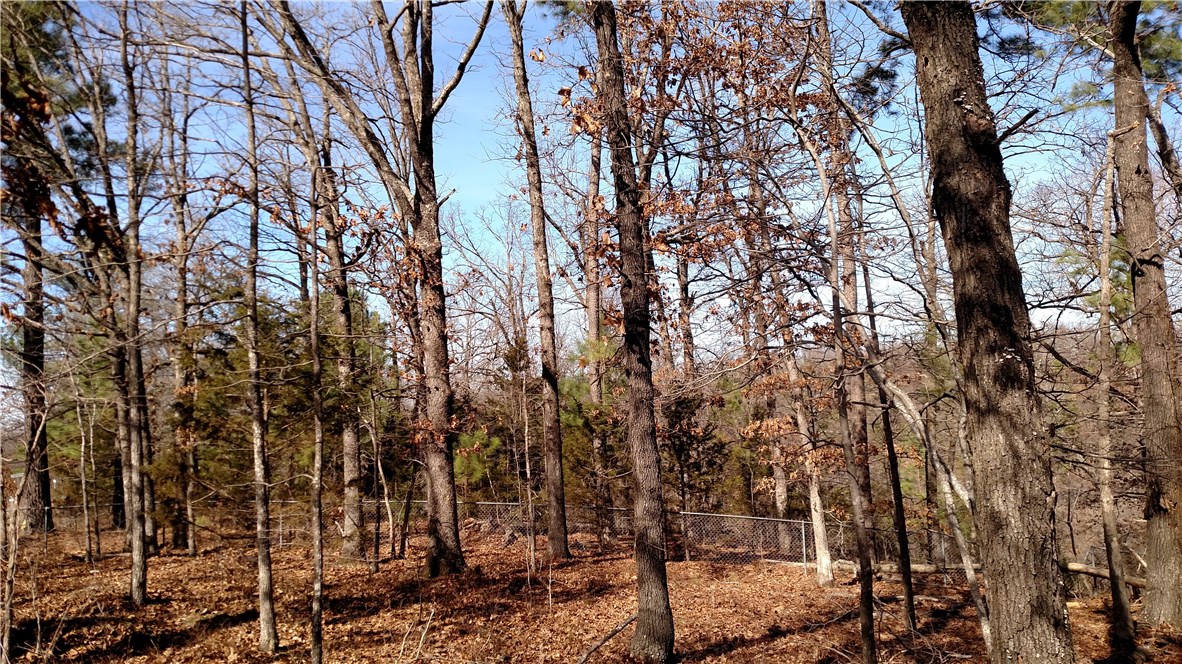 Nice building spot, where you can Hike, Ride your 4 wheeler or Bow hunt, just 3 minutes from Hickory Creek Marina & Park. Springdale municipal water across the street.