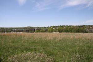 Skyline Acres - Commercial Sale