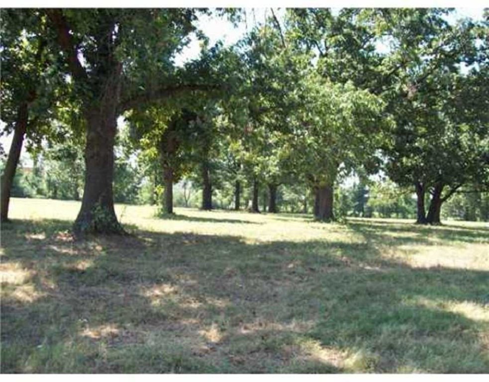 Springdale Outlots - Residential