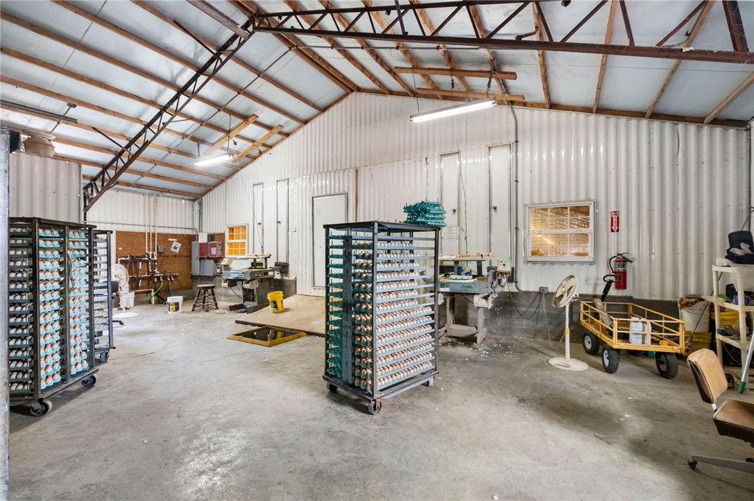 eggs for days - Farm