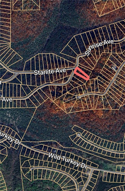 Build you next home in Holiday Island and enjoy all the amenities this great area offers. Just an hour outside of Rogers and minutes to Eureka Springs. You can enjoy golfing, boating on Table Rock Lake, hiking trails and more. The lot is Zoned R-1 so site built single family homes only. Utilities at street.