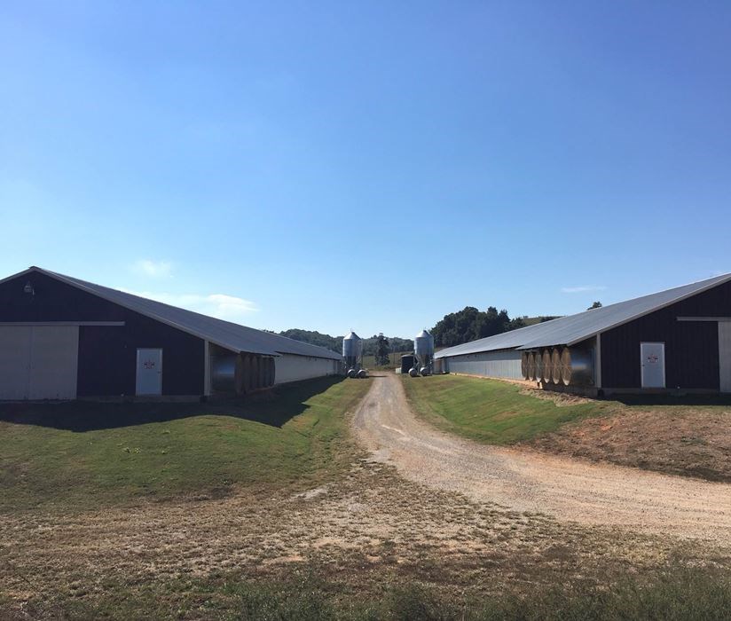 Wesley Farming - Farm