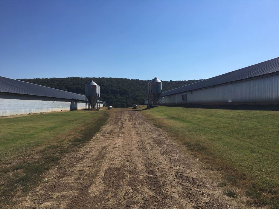 Wesley Farming - Farm