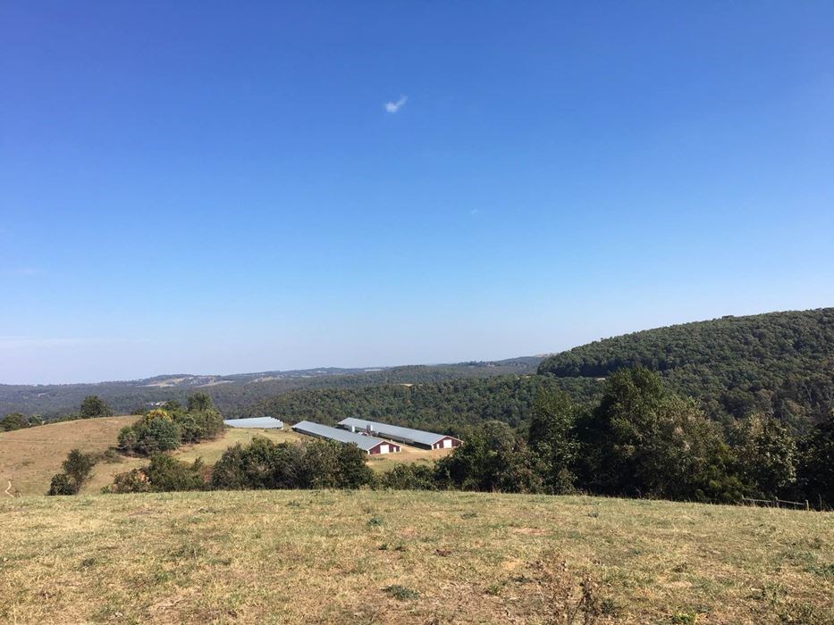 Wesley Farming - Farm