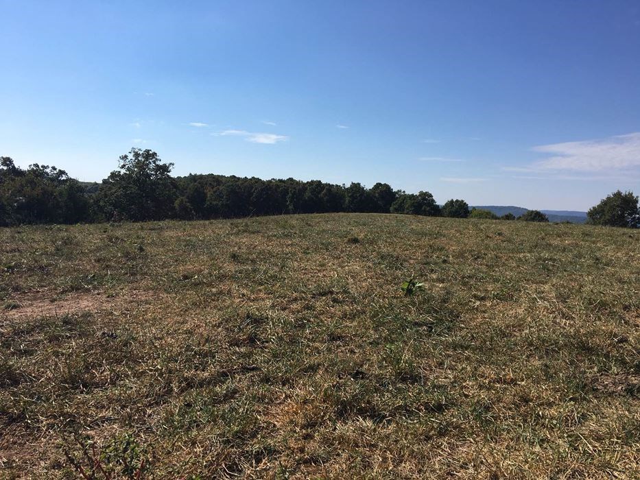 Wesley Farming - Farm