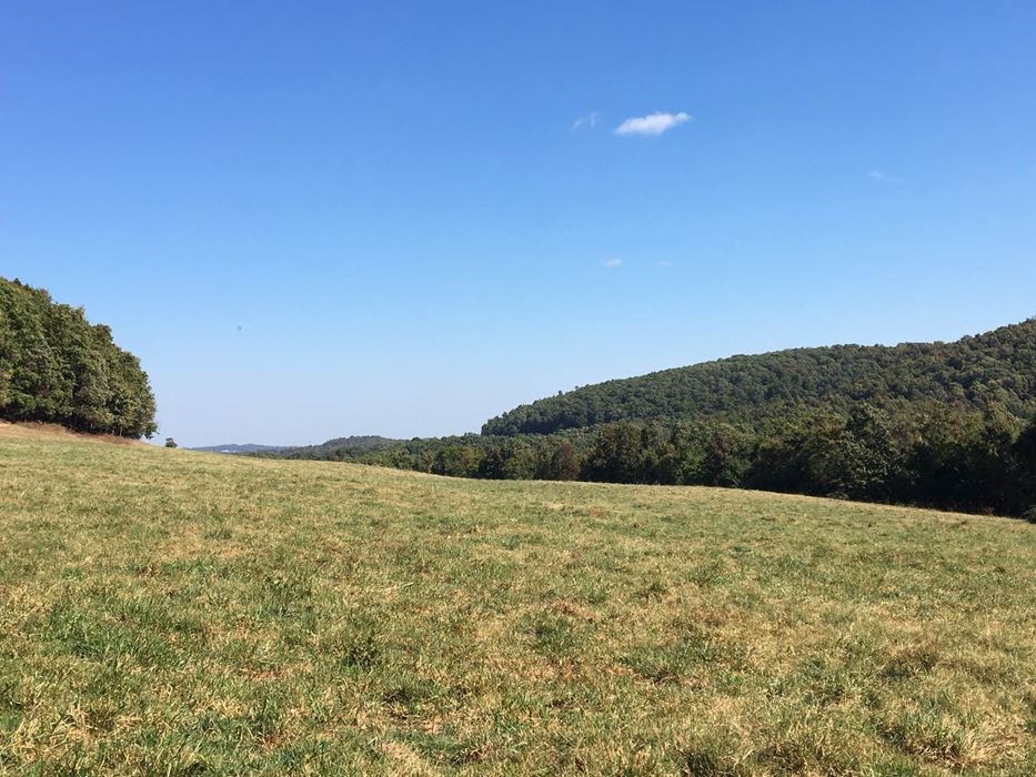 Wesley Farming - Farm