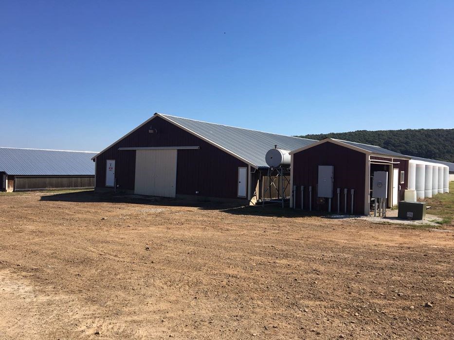 Wesley Farming - Farm