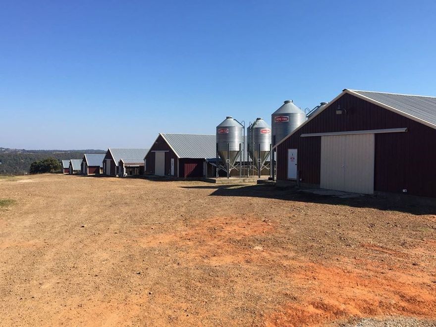 Eight house broiler farm with Georges 7 pound bird. 6-43x500s & 2-46x520s. 164 acres of land and 4 bedroom 2 bath home. Contact me for more details!