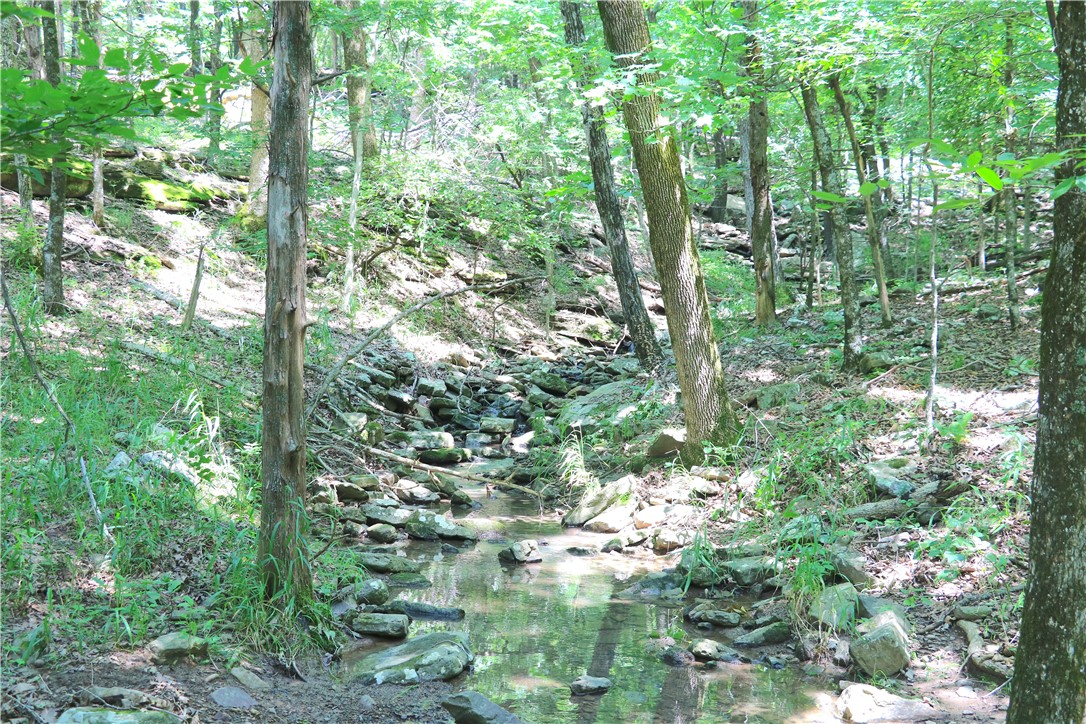 This 80 acres has so much to offer just off of the paved road. Within this beautifully laid out acreage you will find a trail that leads you through mature hardwoods ideal for adding tree stands. Not having had any hunting pressure since the early 80’s, it shows. Deer, turkey, and other wildlife roam the property freely. There are multiple wet weather creeks and a few what seem to be spring fed streams throughout the property. Multiple little waterfalls fill the air throughout the timber with the sound of running water. The clear visibility through the timber is perfect for being able to spot wildlife off in the distance. As you walk along each of the streams, you may be able to spot a few arrowheads and other stone
tools uncovered by the rain and flowing water. With being only 35 minutes into Fayetteville, this is a perfect place to teach your kids to hunt. Water, electric and fiber being located at the road, also offers an option to build without having to worry about utilities.