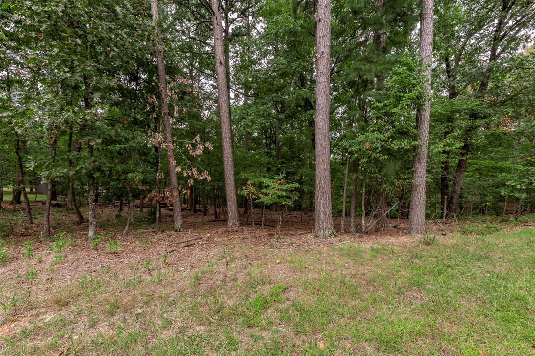 Discover the perfect lot to bring your vision to life. This spacious 0.38-acre parcel offers a mostly flat terrain with a gentle slope. Enjoy enhanced privacy with POA-owned land separating you from the nearest neighboring lot. Located near the scenic Back 40 trails, Lake Ann, and Lake Rayburn, this property is a gateway to outdoor adventure and serene living. Whether you're planning your forever home or a smart investment, Bella Vista provides all the perks of a vibrant, well-maintained community.