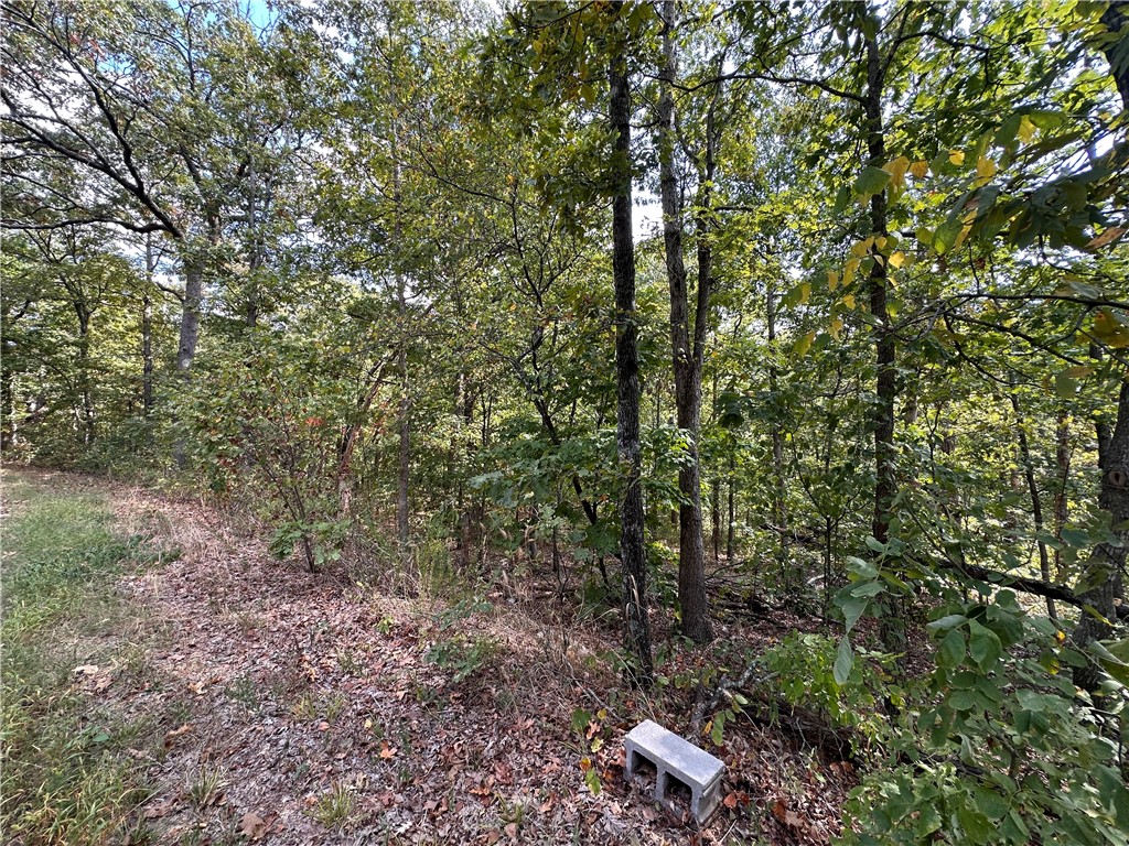 Located on the East Side of Bella Vista. This lot is perfect for your new home. Near the Back 40 Bike Trails. You'll enjoy the easy access to everything Bella Vista has to offer such as the Golf, Tennis, Lakes, Biking trails and so much more!