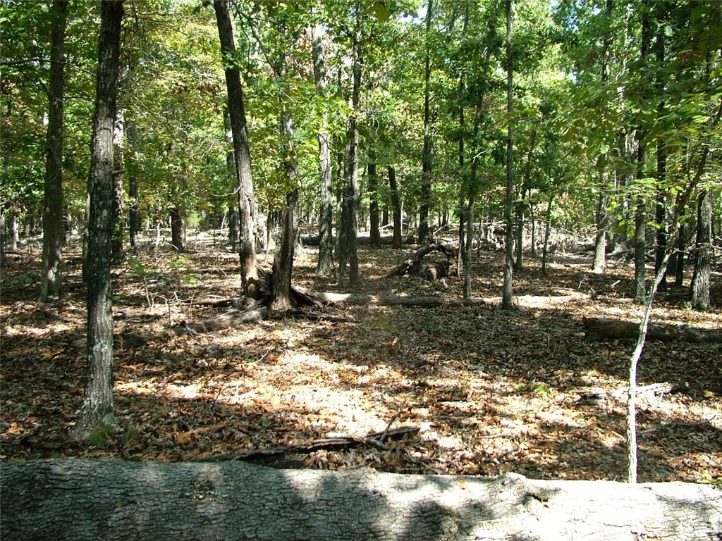 Woodland Ridge - Land