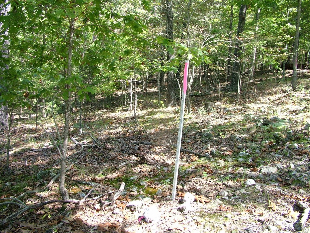 Woodland Ridge - Land