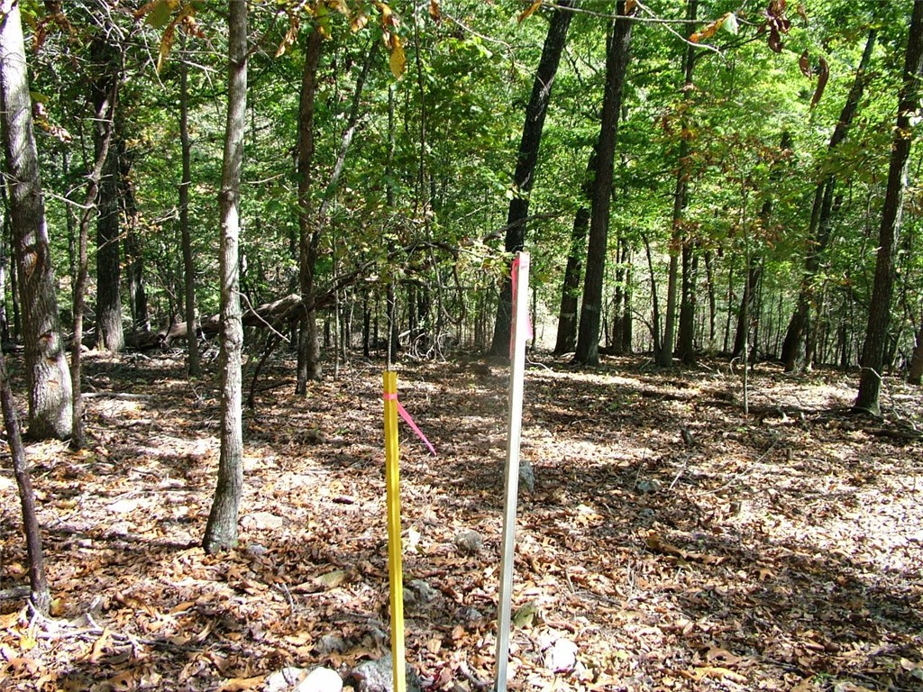 Woodland Ridge - Land