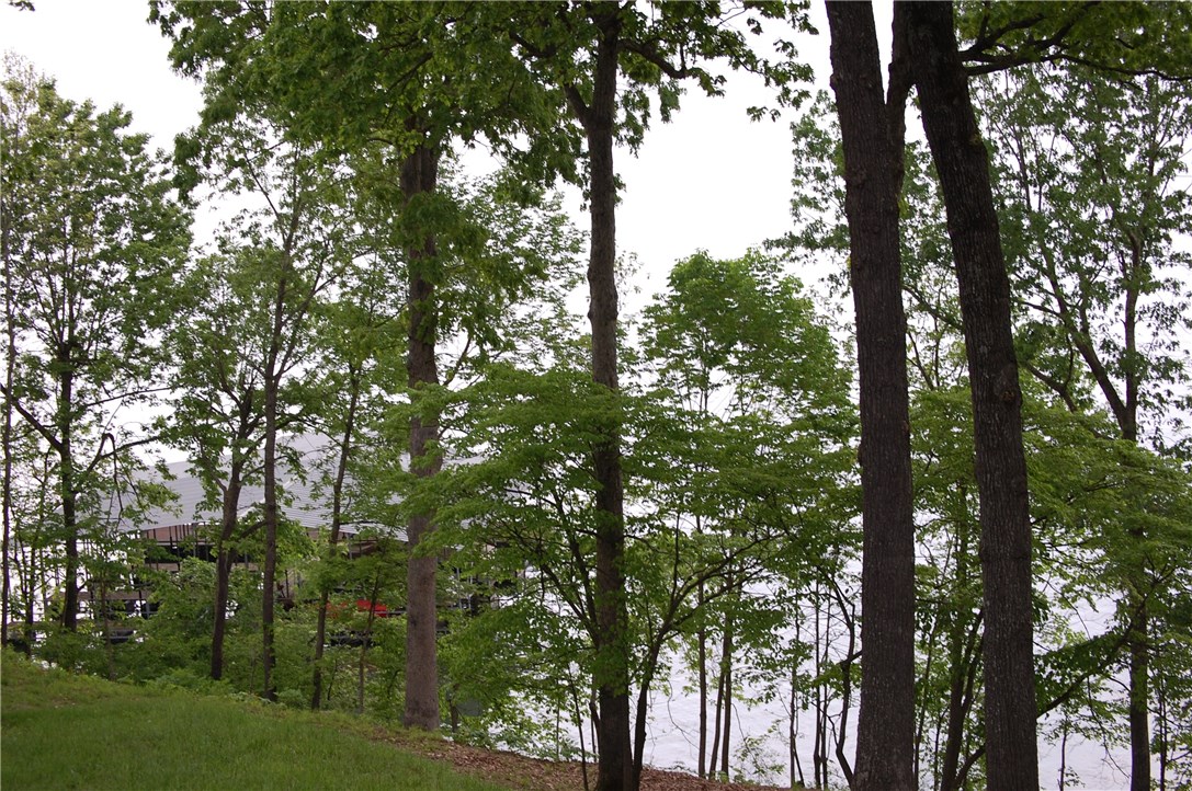 Serenity Point - Residential