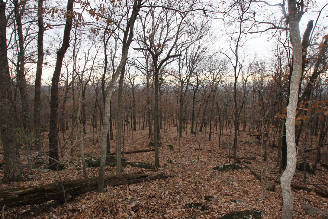 Great build site; scenic view upon minimal tree clearing; paved access; electricity.