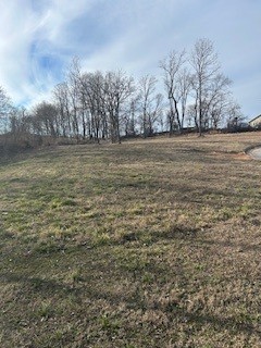 Over a half acre lot, .77, with mature trees in established neighborhood. Ideal setting to build your "Dream Home" located at the end of the street, lot is mostly flat with a gentle slope and a semi-wooded tree line on the north and west side of the property. Private backyard is perfect for that special outdoor space for entertaining or spending time with family. Get started today to begin enjoying your own special design.