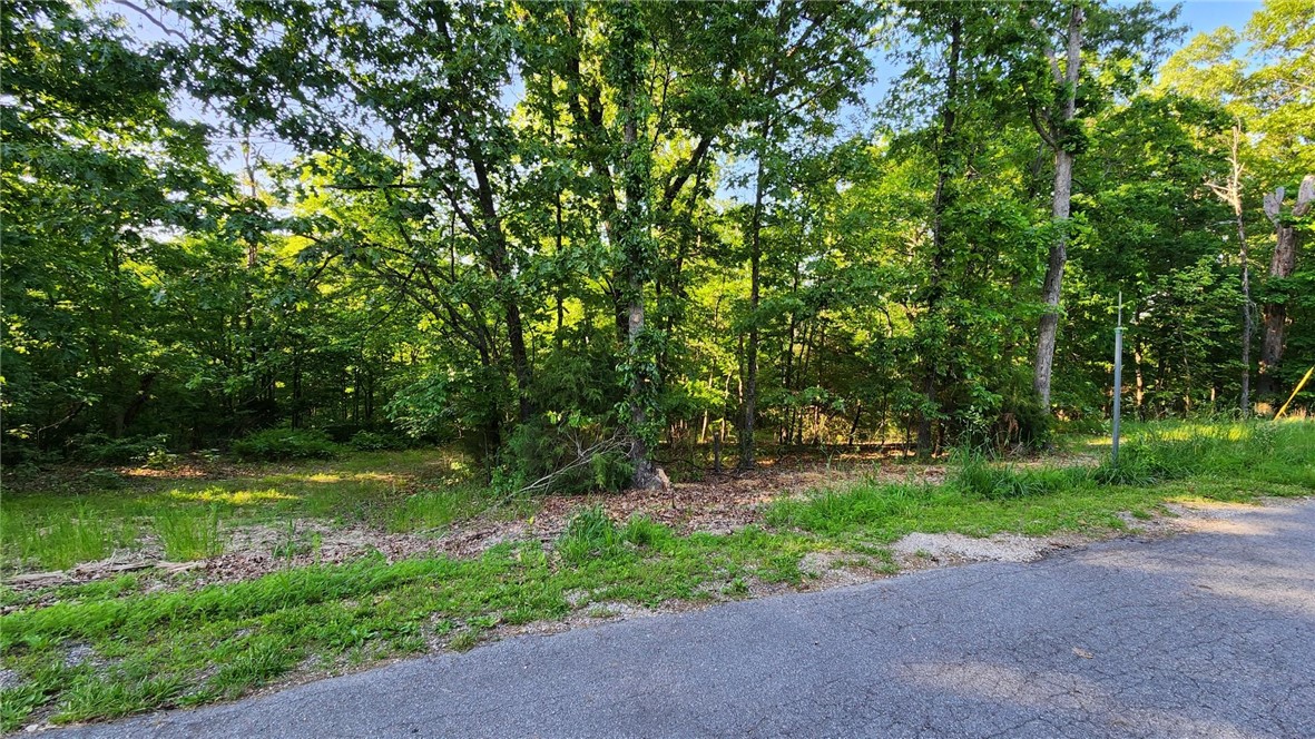 Discover Bella Vista. NW Arkansas' premier outdoor and active living community. There is an activity for everyone, whether it's camping under the stars, testing your skills at one of the golf courses, or trying disc golf, working out at the fitness center, playing pickleball, mini golf, or just relaxing while walking the many parks or biking the many trails (new bike lift has been approved to be built) - Bella Vista has it all! Visit bellavistapoa.com for all the amenity details.
This lot is closely located to the Bella Vista Rec Center and Kingswood Golf Course. Just a hop, skip and a jump from Highway 71B. Purchase this lot to enjoy the amenities or build your dream home.
