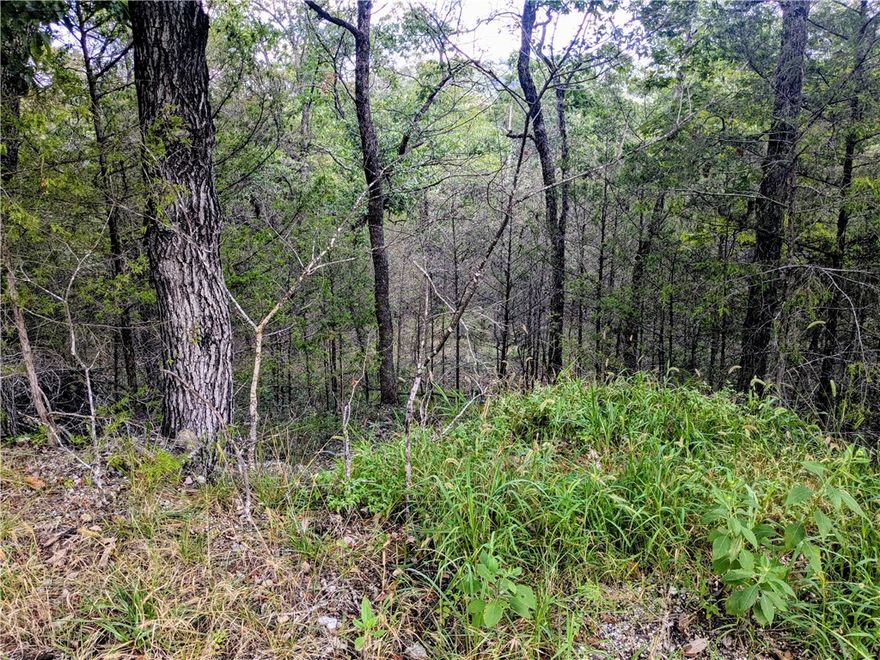 Ready to build your dream home?  Quiet and gently wooded near the lake, this cul-de-sac lot offers the best of both worlds. Enjoy the amenities in Holiday Island like golf courses, a country club, swimming, tennis and a marina with a fishing dock or watch the local fauna from your front porch! Nearby Eureka Springs or Rogers offers great shopping and vibrant cultural hubs.