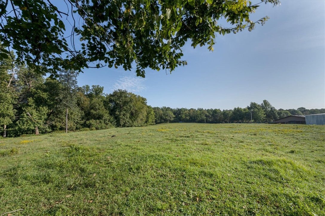 541 Reed Valley Road
