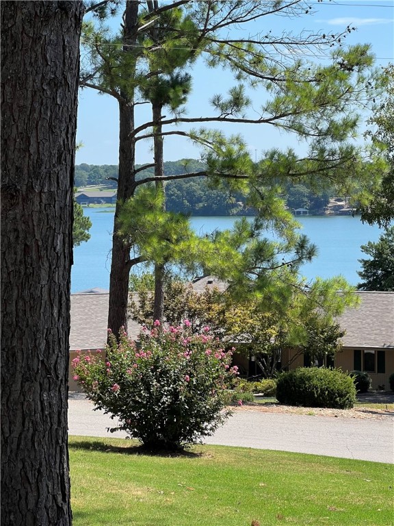 Rare Loch Lomond lake view lot! Beautiful! Perc test and survey available. Ready to build!